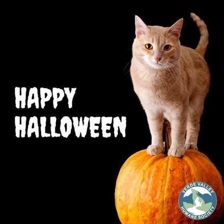 Happy Halloween eCards