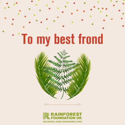 Send love to your family and friends... and the rainforest! eCards