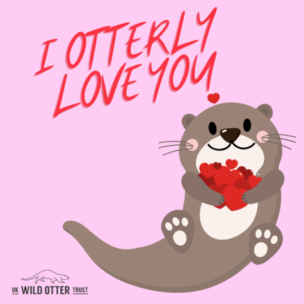 Send a Valentine's Day E-Card eCards