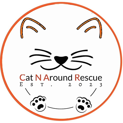 CAT N AROUND RESCUE eCards