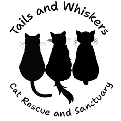 Tails and Whiskers Inc eCards