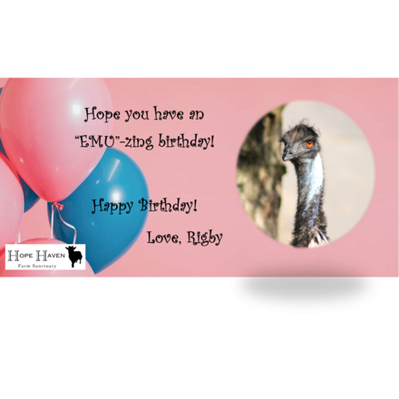Send an ecard for your birthday and support Hope Haven Farm Sanctuary eCards