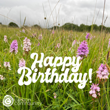 Say Happy Birthday and show someone you care about them & the environment. eCards