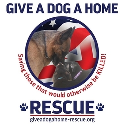 Give a Dog a Home Rescue eCards