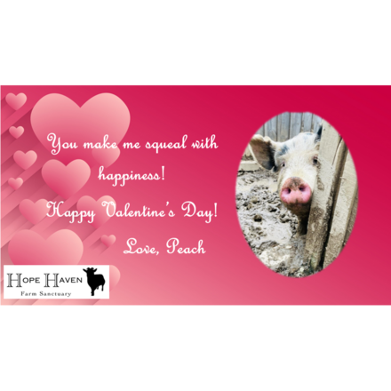 Send a Valentine's Day E-Card from one of Hope Haven's animals eCards