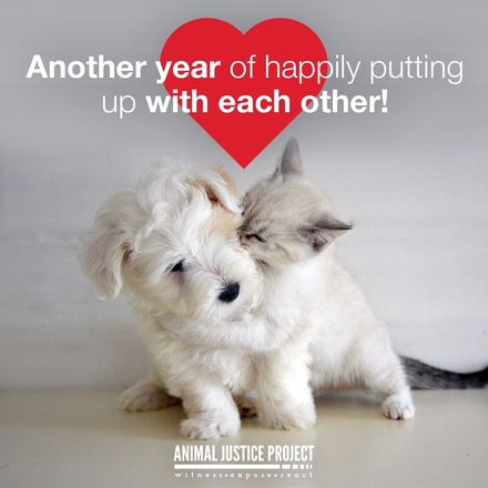 Spread the love with e-cards this Valentine's Day eCards