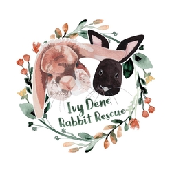 Ivy Dene Rabbit Rescue eCards