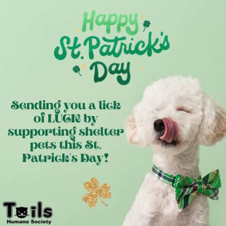 Send some Irish luck this St. Patrick's Day!  eCards