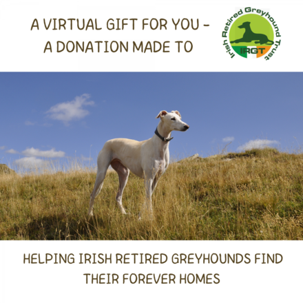 Support Irish Retired Greyhounds find their forever homes eCards