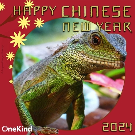 Chinese New Year 2023 - send e-cards! eCards