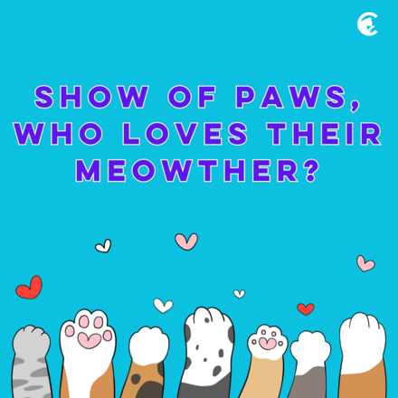 Meowther's Day! eCards