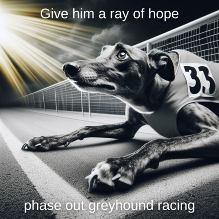 Show support for the phasing out of greyhound racing eCards