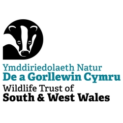 Wildlife Trust South & West Wales eCards