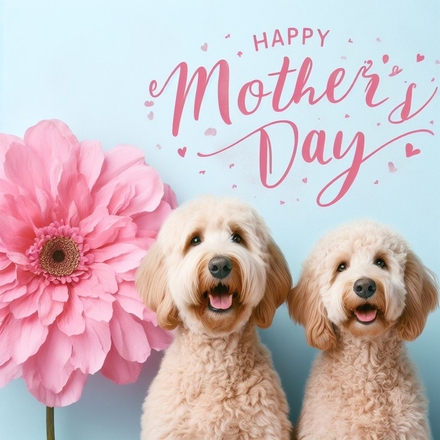 Send a Mother's Day E-Card eCards