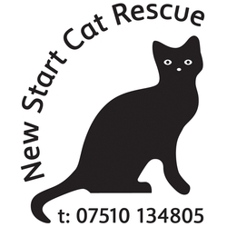 New Start Cat Rescue eCards