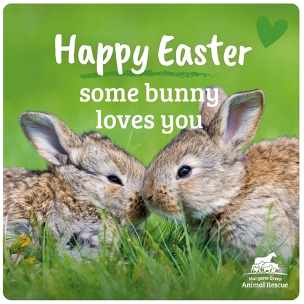 Send Easter E-Cards eCards