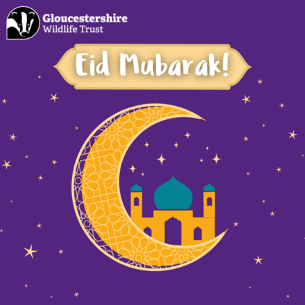 Send some festive greetings this Eid eCards