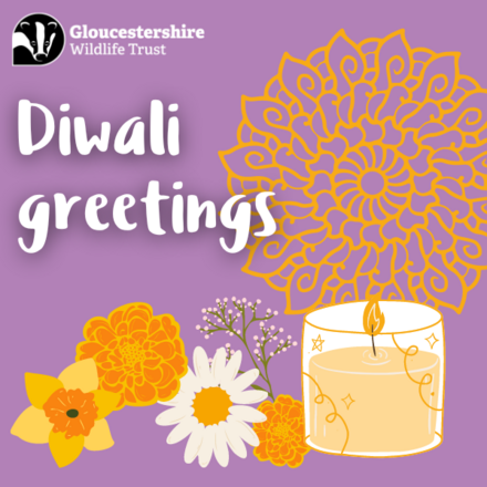 Send Diwali greetings eCards
