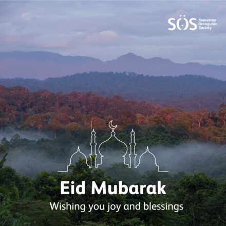 Send an Eid al-Fitr card to loved ones eCards