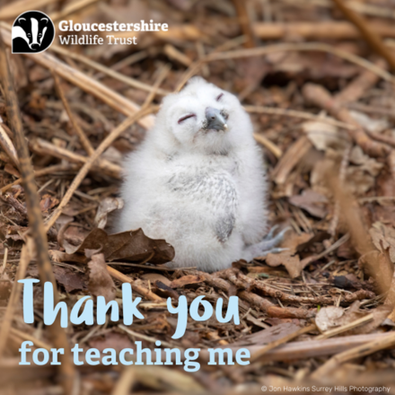 Send thanks to your teacher eCards