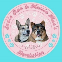 Sadie Rae and Mattie Mae Revolution eCards