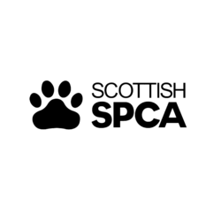 Scottish SPCA eCards