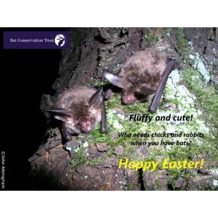 Send Easter E-Cards eCards