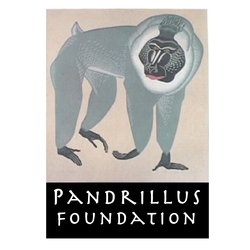 Pandrillus Foundation USA eCards