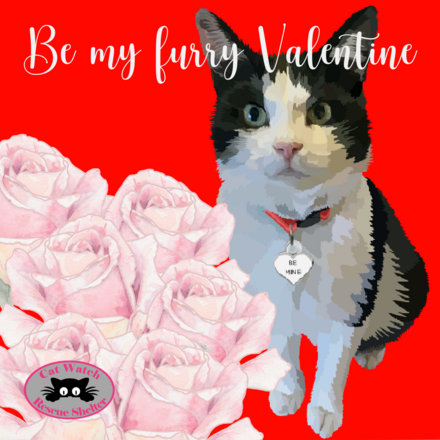 Send a Valentine's Day E-Card eCards