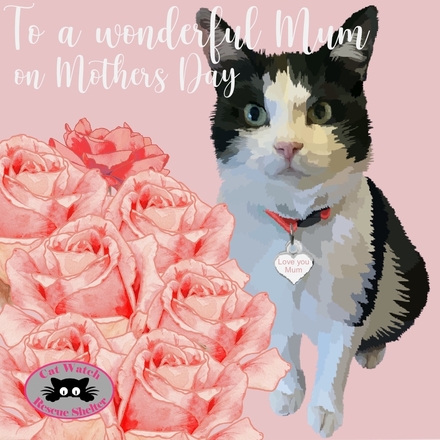 Send a Mother's Day E-Card eCards