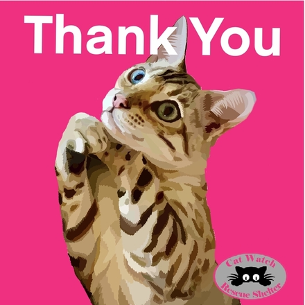 Send Thank You E-Cards eCards