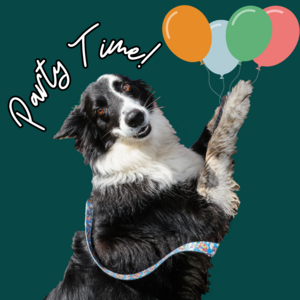 Party time dog balloons ecard.