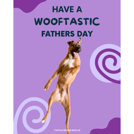  eCards