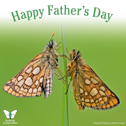Send a Father's Day e-card  eCards