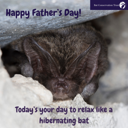 Send a Father's Day E-Card eCards