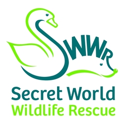Secret World Wildlife Rescue eCards