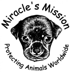 Miracle's Mission eCards