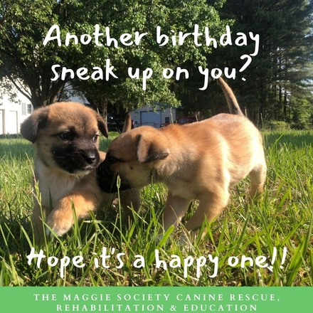 Send a birthday card eCards