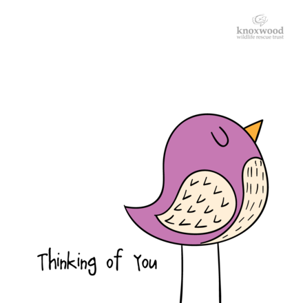Send Get Well Soon / Thinking of you eCards eCards