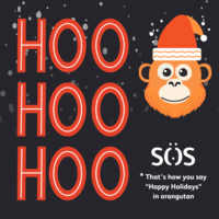 Funny orangutan animated Christmas card