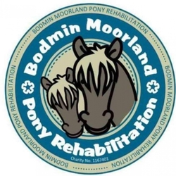 Bodmin Moorland Pony Rehabilitation eCards