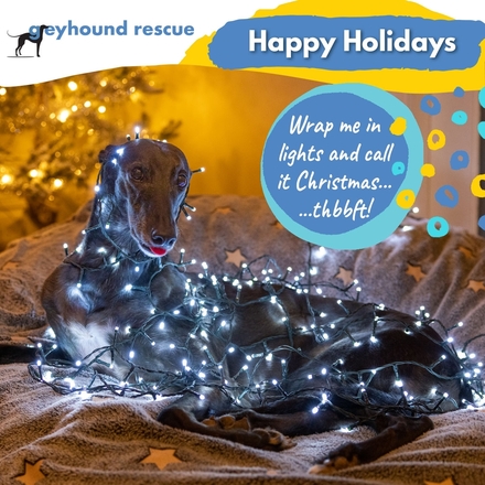 Send an E-Card eCards