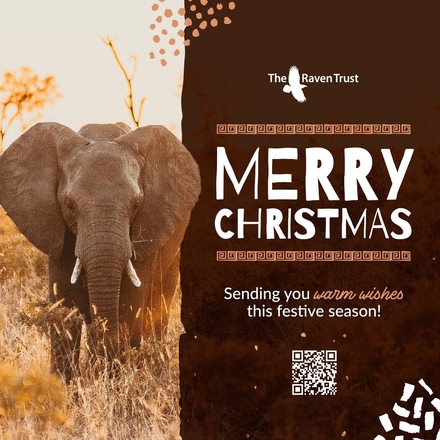Send Christmas E-Cards eCards