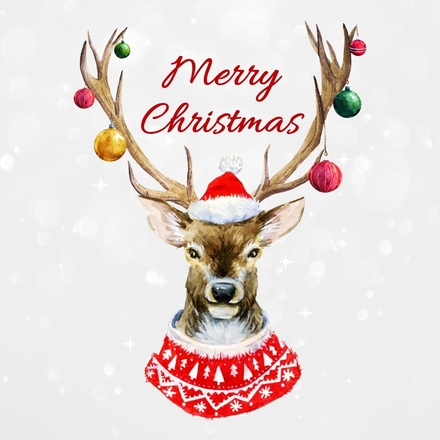 Season’s Greetings with Purpose: Send a BDS E-Card eCards