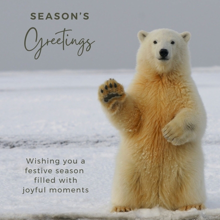 Send Corporate Christmas E-Cards eCards