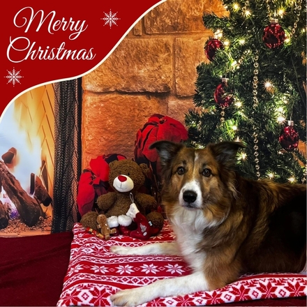 Send Corporate Christmas E-Cards eCards