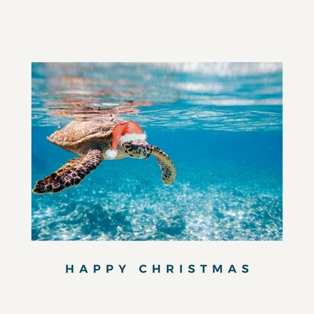 Send Christmas E-Cards eCards