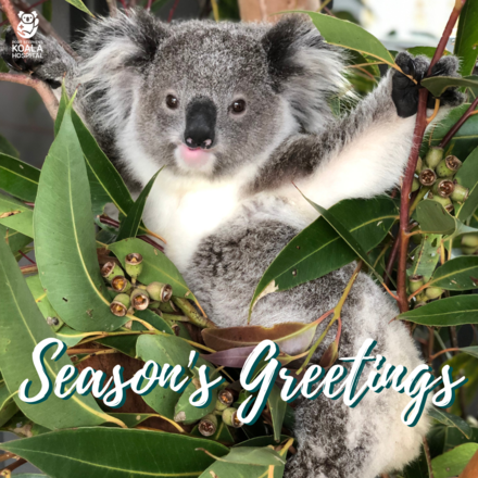 Send Christmas E-Cards eCards