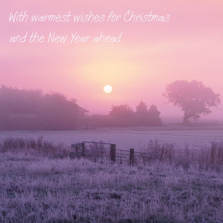 Send Christmas E-Cards eCards