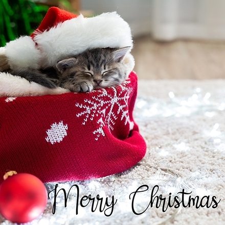 Send the perfect Christmas E-Card eCards